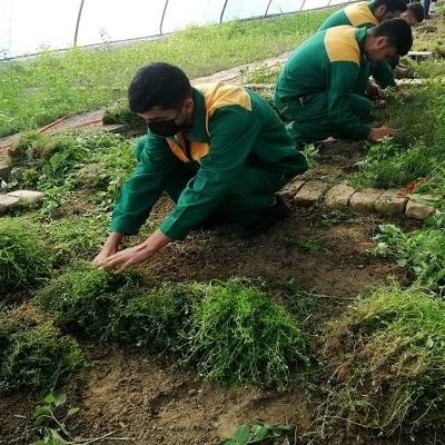 هنرستان کشاورزی الگوی توسعه و پیشرفت کشاورزی است هنرستان کشاورزی الگوی توسعه و پیشرفت کشاورزی است