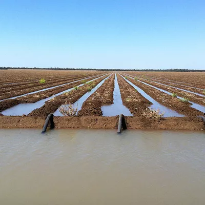 کشاورزی در نقطه انتخاب؛ روایتی از یک تصمیم حساس